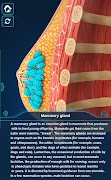Breast Anatomy Pro. Ekran Görüntüsü 3
