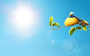 6 Schermata Divertimento Sfondi Animati