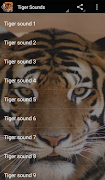Tiger Sounds screenshot 1