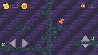 Little Fox screenshot 6