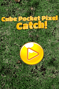 Cube Pocket Pixel: Catch! 포스터