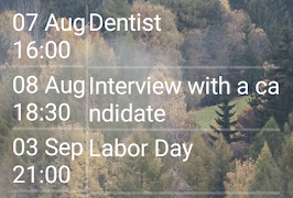 Calendar Events Widget Affiche
