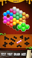 Hexa Blocks Puzzle Game imagem de tela 2
