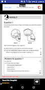 پوستر Grade 12 Evolution | Life Scie