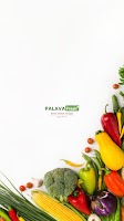 PALAVA FRESH screenshot 5