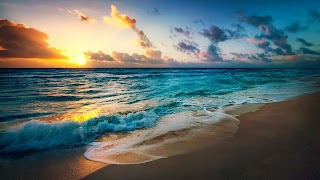 海壁纸 截图 5