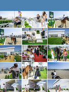 Stephex Event - En imagem de tela 4