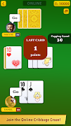 Cribbage ポスター