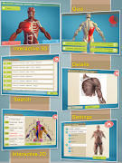 پوستر Easy Anatomy 3D - learn anatom