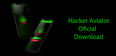 HACKER AVIATOR Ekran Görüntüsü 4