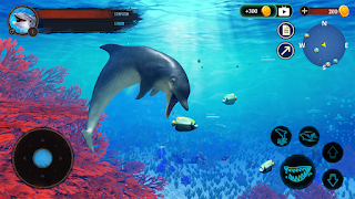 5 Schermata The Dolphin