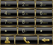 Theme for ExDialer Frame Gold2 截图 7