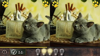 Cat! Spot the difference 2 screenshot 1