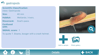 The Waterbug App syot layar 1