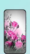 rose wallpapers Ekran Görüntüsü 4