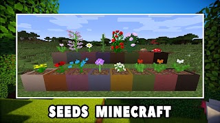 Seed Mod for Minecraft PE โปสเตอร์