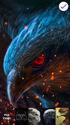 برنامه‌نما Eagle Lock Screen Wallpapers عکس از صفحه