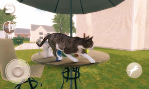 Praten over Devon Rex screenshot 7