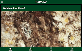 TurfView captura de pantalla 5