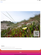 PostLink capture d'écran 7