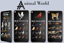 Animal Sounds poster