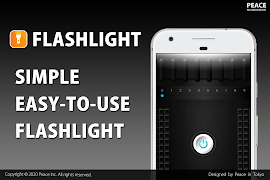 Flashlight poster