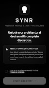 BDSM TEST: SYNR poster