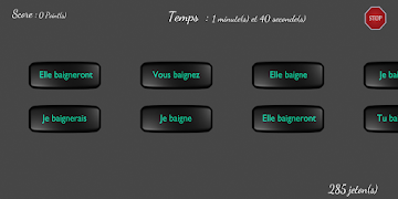 DefilConjugaison screenshot 6