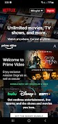 Split Screen Browser capture d'écran 1