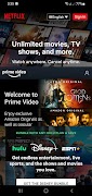 Split Screen Browser 스크린샷 1