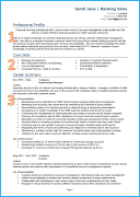 CV Samples: PDF CV Templates screenshot 3