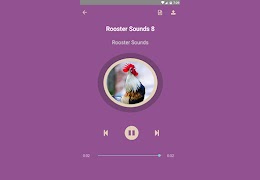 Rooster Sounds Screenshot 7