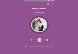 Rooster Sounds Ekran Görüntüsü 7