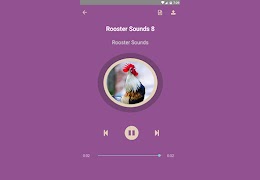 Rooster Sounds Ekran Görüntüsü 7