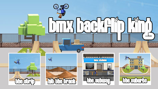 BMX Backflip King poster