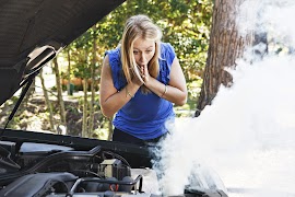 mxDiag 스크린샷 1