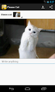 Please Cat - lol cat poster