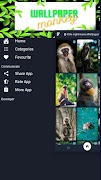 monkey wallpapers offline اسکرین شاٹ 2