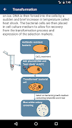 Molecular Methods imagem de tela 2