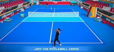 Pickleball 3D ภาพหน้าจอ 3