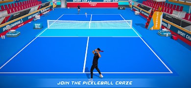 Pickleball 3D 截图 3