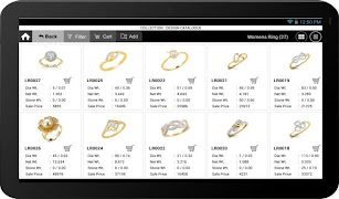 iJewelSlide imagem de tela 4