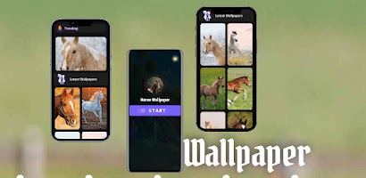 Horse Wallpaper plakat