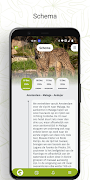 Inezia Tours screenshot 3