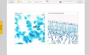 Cells اسکرین شاٹ 5