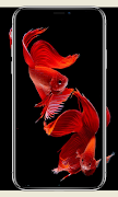 3 Schermata Fish Wallpaper