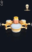 My Skeleton Anatomy اسکرین شاٹ 6
