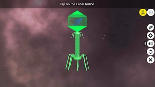 Learn Viruses plakat