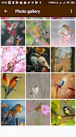 Birds Wallpapers captura de pantalla 3