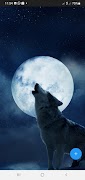 10000 Moon Wallpapers captura de pantalla 3